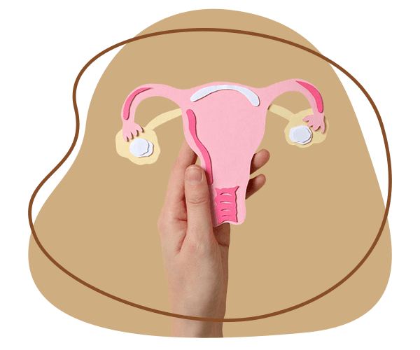 Surgical Vaginoplasty1